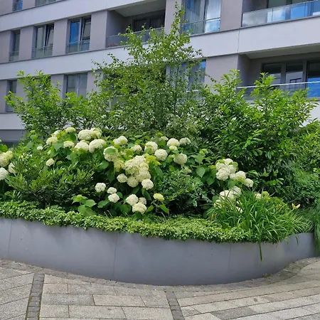 Morza Szum - Plac Unii- Parking * Gdynia
