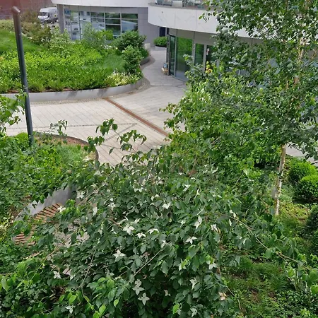 Morza Szum - Plac Unii- Parking